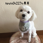 犬用スタイ・お名前スタイ