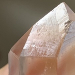 レムリアンシード(Lemurianseed) / トライゴーニック(Trigonic)  S00852 天然無研磨 クォーツ クラスター パワーストーン