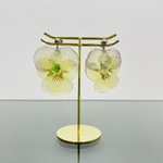 SDGS𓇼ビオラの押し花にシーグラスちょこんとのせ❁⃘*.ﾟピアス/イヤリング