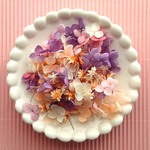 ✿極小✿あじさいのはなびら　ピンク系
