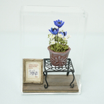 ミニチュア 青いアネモネ寄せ植え 