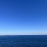 うちの子名刺100枚　Marilyn様専用