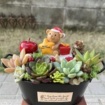 ★送料無料★♡そのまま飾れる♡クリスマス☆彡クマちゃんサンタの多肉植物寄せ植え╰(*´︶`*)╯♡