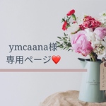 ymcaana様専用ページです❤
