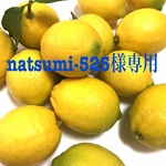 natsumi-525様特別オーダー品