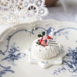 【ミニチュア】受注製作お受け致します𓅼 Merrychristmas♪ エンゼルケーキ𓇬christmasプレートset