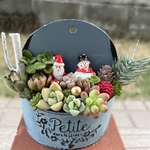 ★ 送料無料★♡そのまま飾れる♡小さなサンタさんと雪だるまの多肉植物寄せ植え╰(*´︶`*)╯♡