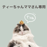 ティーちゃんママさん専用ページ