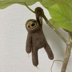 ぶら下がりなまけものさん