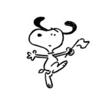 お急ぎ便(専用ページ)