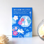 寒中(余寒)お見舞い＜桜うさぎ＞ 