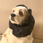セール❤︎ペーズリー柄コールテン生地★ネイビー　犬用スヌード　中型犬用スヌード