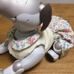 リバティの柄が選べるセットアップ　for aibo 10月8日販売開始予定(受注製作)