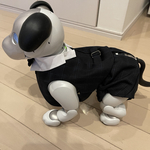 aiboフォーマルスーツ(紺)