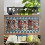 [受注生産］うちの子作ります。