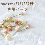 【guest-a2707662様専用ページ】