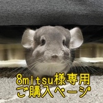 8mitsu様専用ご購入ページ