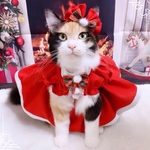 送料無料☆彡パフスリーブ風クリスマスサンタワンピース②〜猫のワンピース