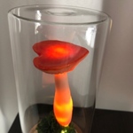 不気味なもの採集家さまオーダー品☆ハートきのこ