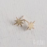 【受注制作】 - K10 - Sparkle ピアス