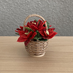 ポインセチア　13  花かご