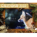 〈月曜日と金曜日に随時発送〉極北の生命 Calendar 2023 by kei Ito Photography