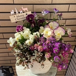 クリスマスのもりもりな寄せ植え♡