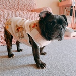 ♡秋冬新作犬服オーダー★くまのフリースボアタンク♪中型犬小型犬フレブル服パグ服フレンチブルドッグ服中型犬小型犬ボストンテリア服