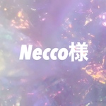 ネイルチップ オーダーページ