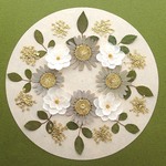 押し花セットD＜組み立ての花＆ノースポール＆レースフラワー他＞