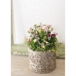 *.・Little flowers’ elegance ・.*  小花たちの寄せ植え