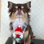 犬用＆猫用  サンタポシェット お散歩 お出かけ インスタ映え クリスマス