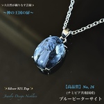 📹️動画ｱﾘ✨ブルーピーターサイト/No,26✨Silver925Top✨Jewelry天然石ネックレス✨