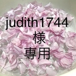 judith1744 様 専用