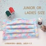 🍬 キャンディ柄 プリーツマスク  ジュニアマスク 中学生マスク 大人小さめマスク