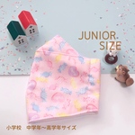 🍬 キャンディ柄 舟形マスク 大臣マスク 小学生マスク ジュニアマスク