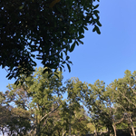 littlegalaxy様オーダー専用ページ
