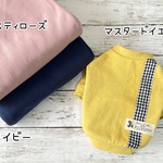 専用カート