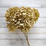 アンティーク色の紫陽花のドライフラワー3本　②