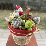 ★送料無料★♡そのまま飾れる♡リメ鉢♬クリスマス☆彡トナカイとサンタの多肉植物寄せ植え╰(*´︶`*)╯♡