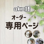 akn様専用オーダーページ ハムスター グラスハーモニー600ロフト