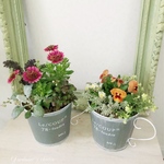 【Y様オーダー品】-♡Red & Orange♡-カップポットの寄せ植えセット