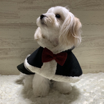 犬服　冬のあったかいマント　くろいこ🖤