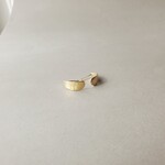 楓の種のようなピアス