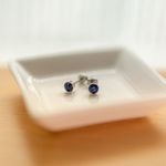 ピアス&イヤリング：ラピスラズリ（316L/爪無し）