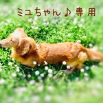ミユちゃん♪専用
