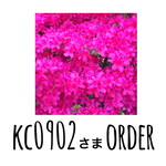 kc0902様専用