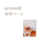 お客様専用ページ