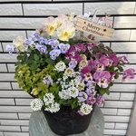 クリスマスのナチュラルな寄せ植え♡