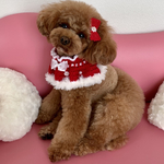 ワンﾁｬﾝ用Xmasケープ